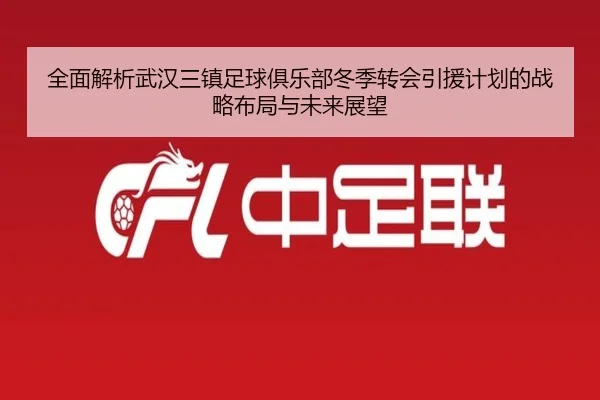 全面解析武汉三镇足球俱乐部冬季转会引援计划的战略布局与未来展望 - YABO
